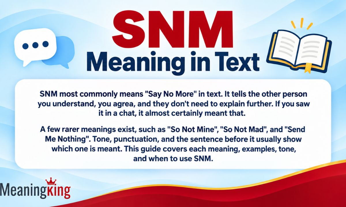 SNM Meaning in Text Definition, Use and Examples, (2026)