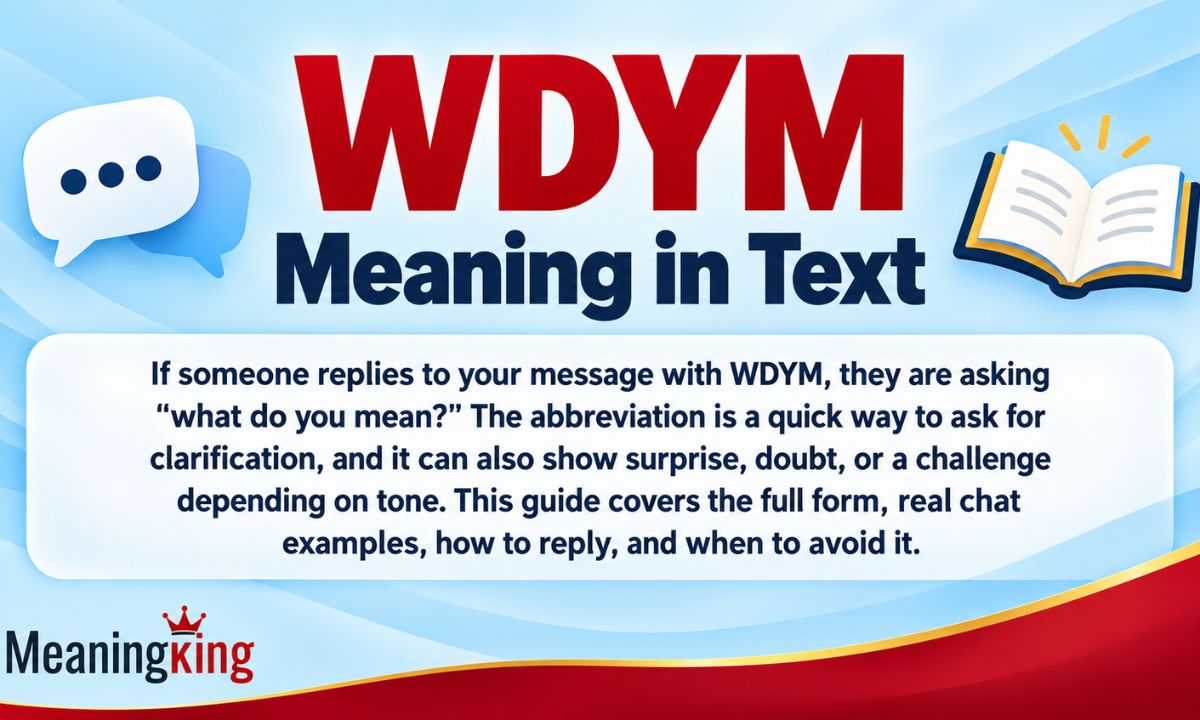 WDYM Meaning in Text Full Form, Uses, and Examples (2026)