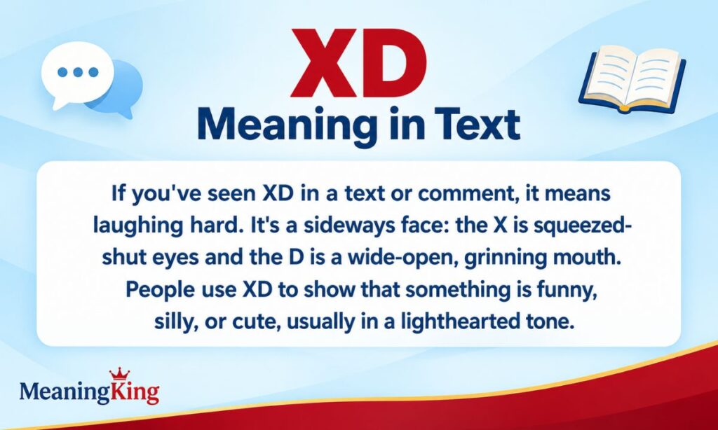 XD Meaning in Text Definition, Uses, Examples & More